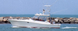 Blue Water Sport Fishing Charters - Montauk, New York - Long Island Sport Fishing