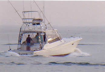 Blue Water sport fishing charters, the hottest, fastest charter boat off the coast of Montauk, you will always catch fish on this boat! Book your charter today!